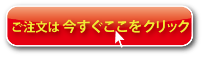 採用面接マニュアル申込ボタン