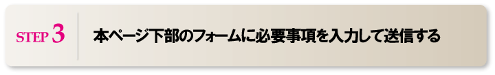 ステップ３　本ページ下部のフォームに必要事項を入力して送信する